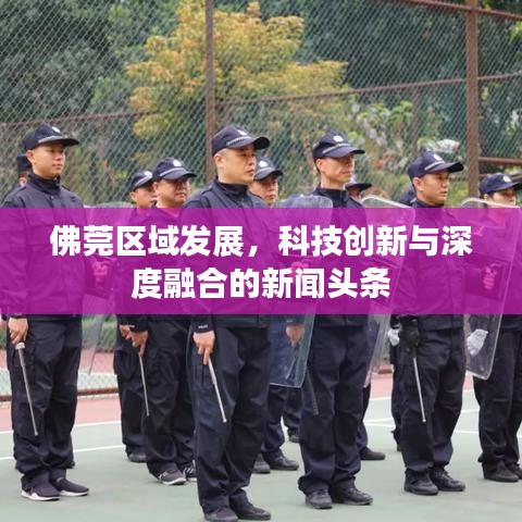 佛莞区域发展，科技创新与深度融合的新闻头条