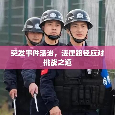 突发事件法治，法律路径应对挑战之道