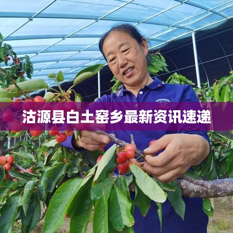 沽源县白土窑乡最新资讯速递