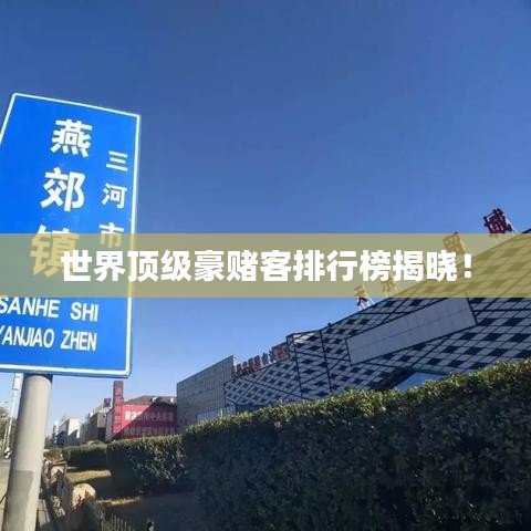 世界顶级豪赌客排行榜揭晓！