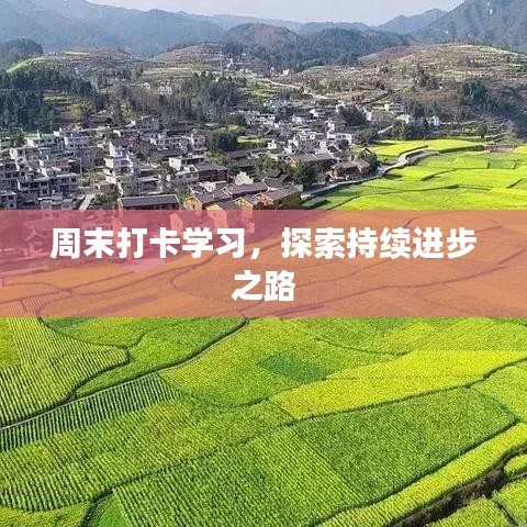 周末打卡学习，探索持续进步之路