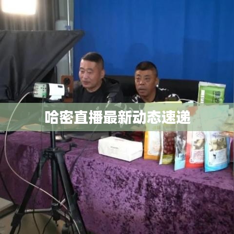 哈密直播最新动态速递