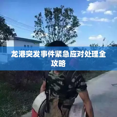 龙港突发事件紧急应对处理全攻略