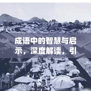 成语中的智慧与启示，深度解读，引人热议