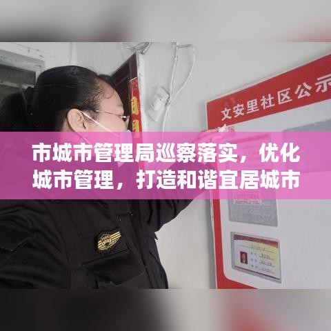 市城市管理局巡察落实，优化城市管理，打造和谐宜居城市新篇章