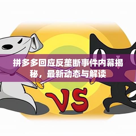 拼多多回应反垄断事件内幕揭秘，最新动态与解读