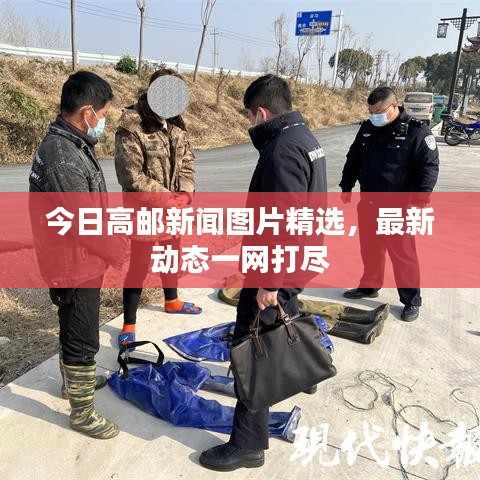 今日高邮新闻图片精选，最新动态一网打尽