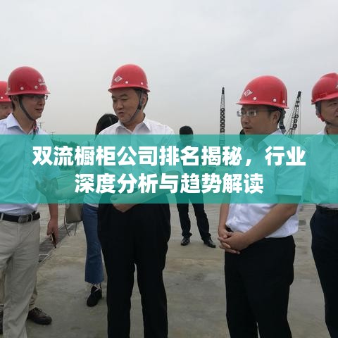 双流橱柜公司排名揭秘，行业深度分析与趋势解读