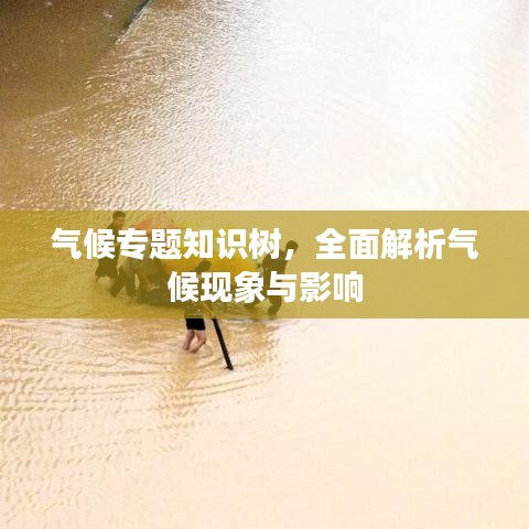 气候专题知识树，全面解析气候现象与影响