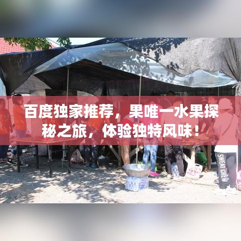 百度独家推荐，果唯一水果探秘之旅，体验独特风味！