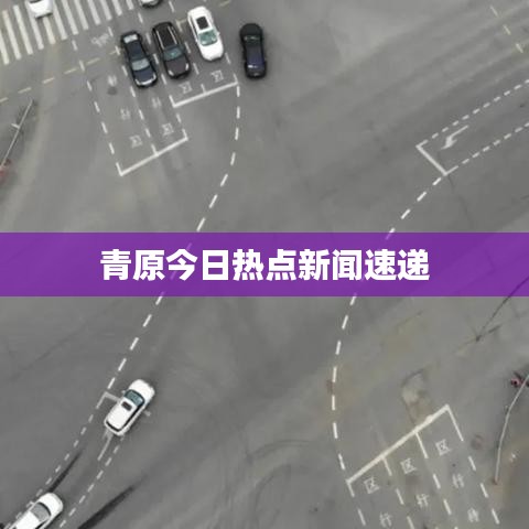 青原今日热点新闻速递