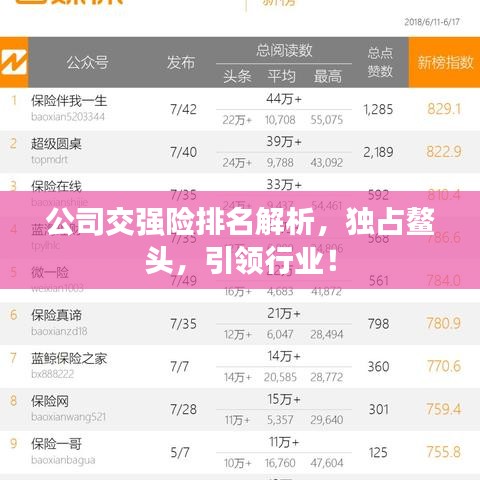 公司交强险排名解析，独占鳌头，引领行业！