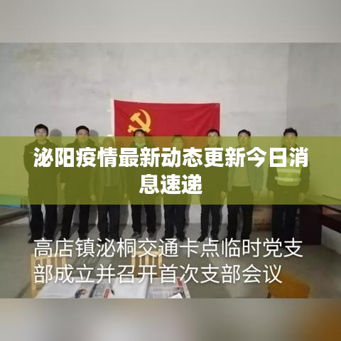 泌阳疫情最新动态更新今日消息速递