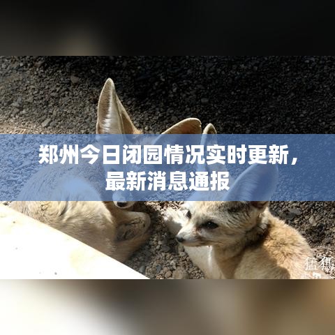 郑州今日闭园情况实时更新，最新消息通报