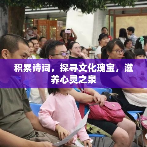 积累诗词，探寻文化瑰宝，滋养心灵之泉