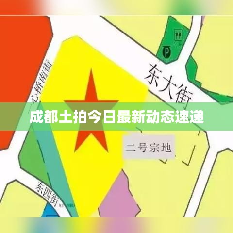 成都土拍今日最新动态速递