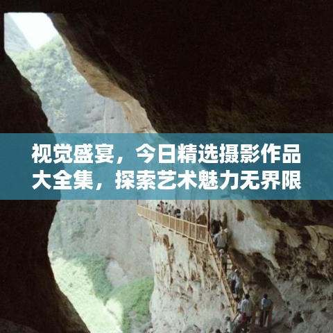 视觉盛宴，今日精选摄影作品大全集，探索艺术魅力无界限