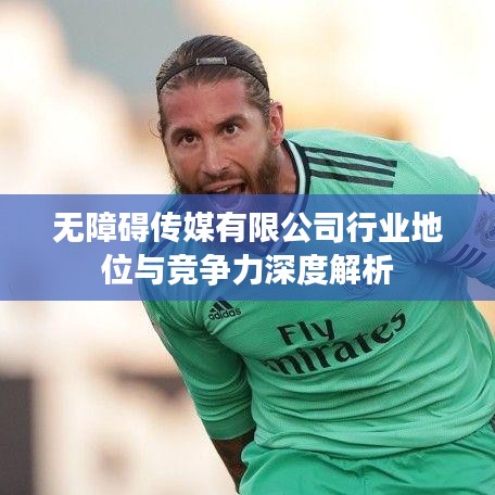 无障碍传媒有限公司行业地位与竞争力深度解析