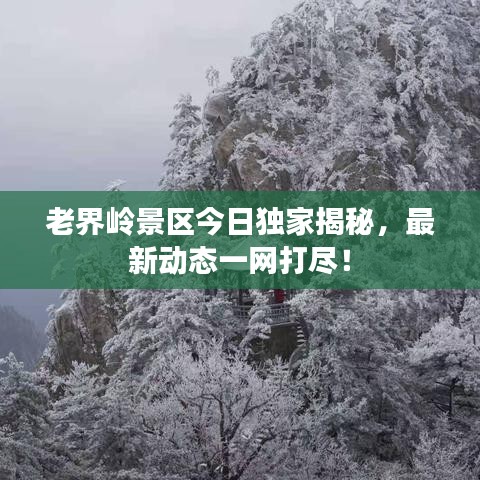 老界岭景区今日独家揭秘，最新动态一网打尽！