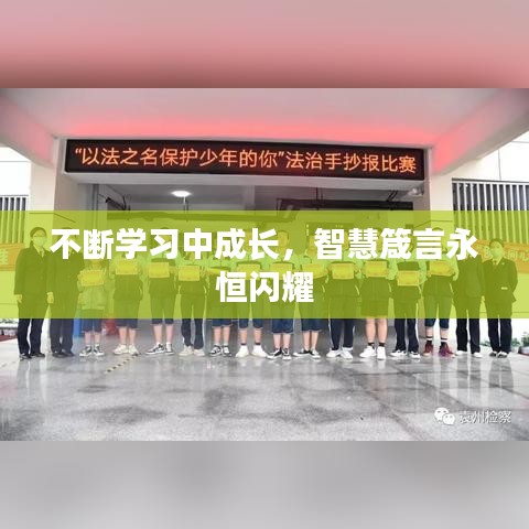 不断学习中成长，智慧箴言永恒闪耀