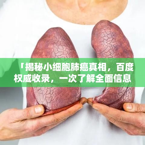 「揭秘小细胞肺癌真相，百度权威收录，一次了解全面信息！」