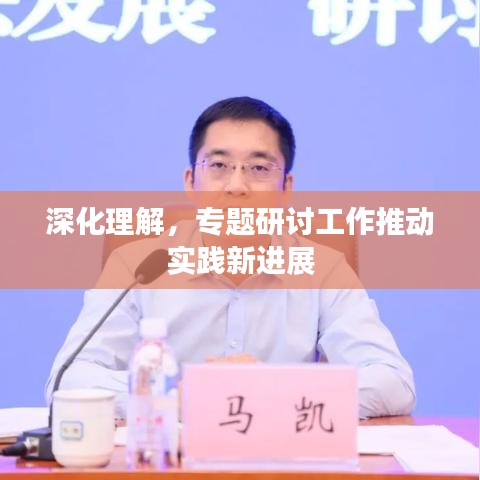 深化理解，专题研讨工作推动实践新进展