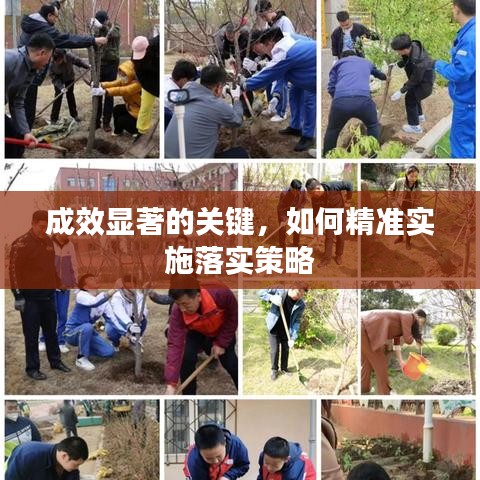 成效显著的关键，如何精准实施落实策略