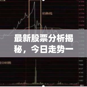 最新股票分析揭秘，今日走势一网打尽