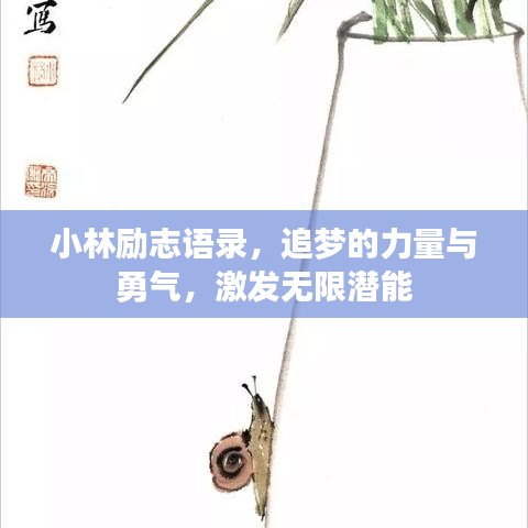 小林励志语录，追梦的力量与勇气，激发无限潜能