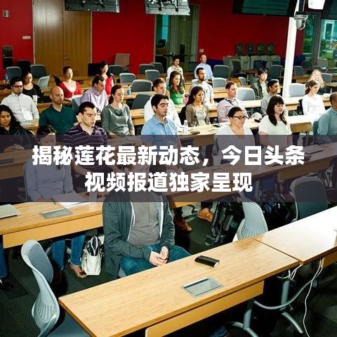 揭秘莲花最新动态，今日头条视频报道独家呈现