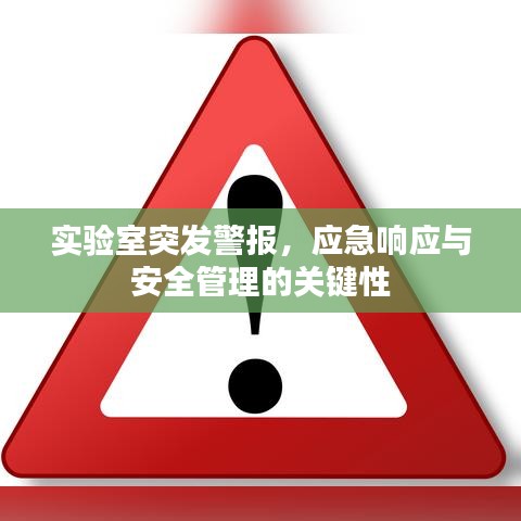 实验室突发警报，应急响应与安全管理的关键性
