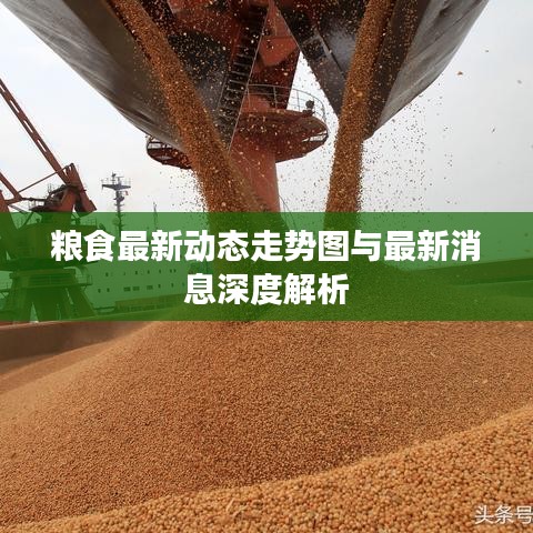 粮食最新动态走势图与最新消息深度解析