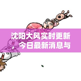 沈阳大风实时更新，今日最新消息与动态