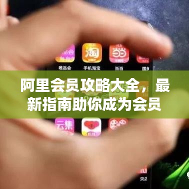 阿里会员攻略大全，最新指南助你成为会员达人！