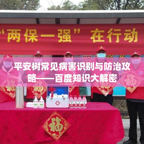 平安树常见病害识别与防治攻略——百度知识大解密
