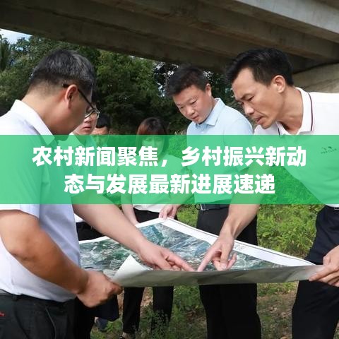 农村新闻聚焦，乡村振兴新动态与发展最新进展速递
