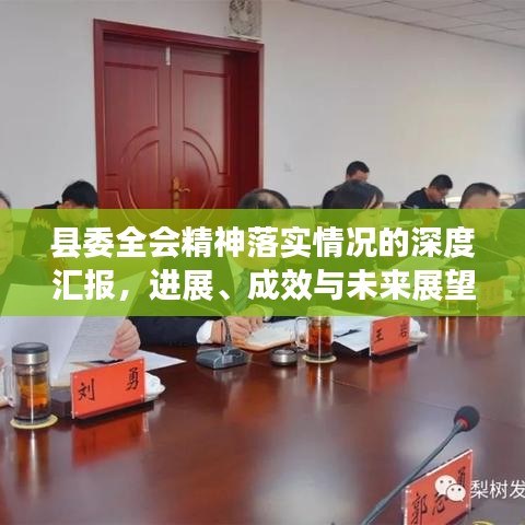县委全会精神落实情况的深度汇报，进展、成效与未来展望