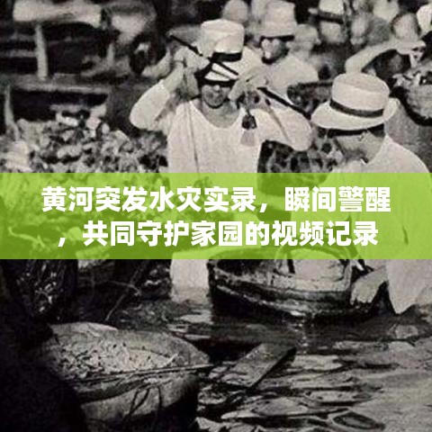 黄河突发水灾实录，瞬间警醒，共同守护家园的视频记录