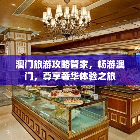 澳门旅游攻略管家，畅游澳门，尊享奢华体验之旅