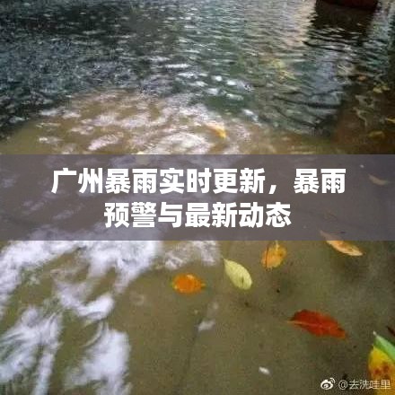 广州暴雨实时更新，暴雨预警与最新动态