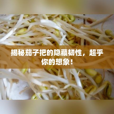 揭秘茄子把的隐藏韧性，超乎你的想象！