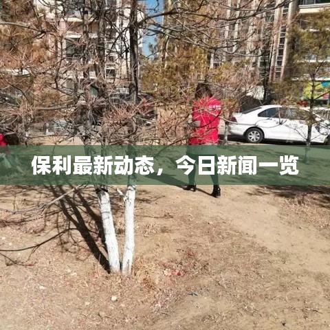 保利最新动态，今日新闻一览