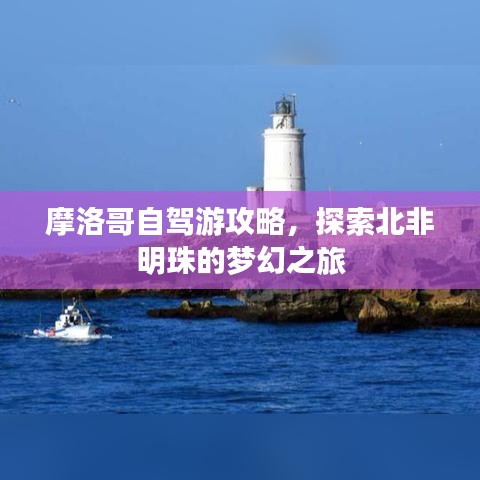 摩洛哥自驾游攻略，探索北非明珠的梦幻之旅