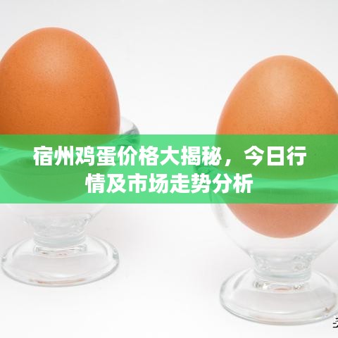 宿州鸡蛋价格大揭秘，今日行情及市场走势分析