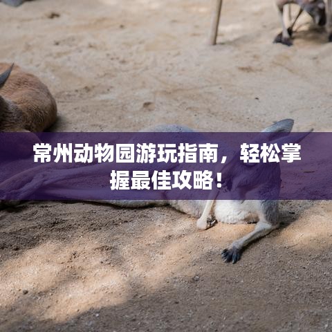 常州动物园游玩指南，轻松掌握最佳攻略！