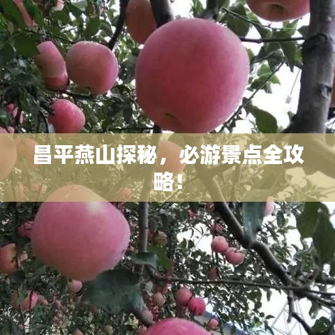独学寡闻
