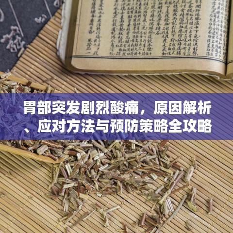 胃部突发剧烈酸痛，原因解析、应对方法与预防策略全攻略