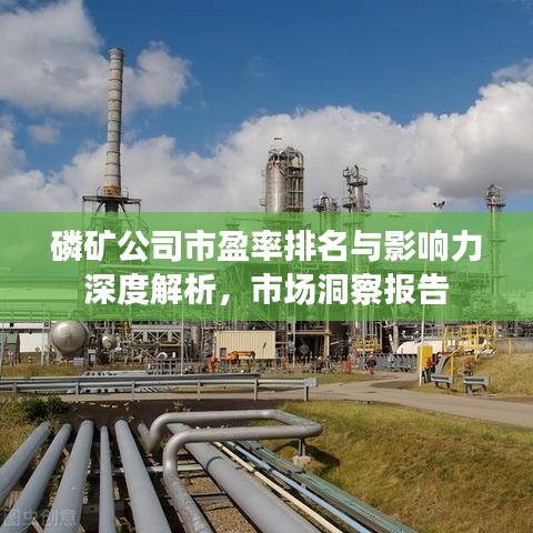 磷矿公司市盈率排名与影响力深度解析，市场洞察报告