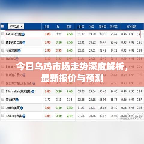 今日乌鸡市场走势深度解析，最新报价与预测