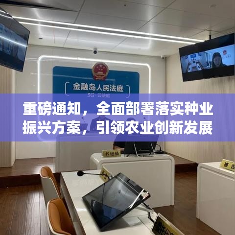 重磅通知，全面部署落实种业振兴方案，引领农业创新发展新篇章